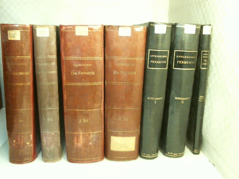 語学・辞書・学習参考書 DIE FERMENTE IHRE WIRKUNGEN  OPPENHEIMER 世界的に有名な Fermente Die 1900 und German Oppenheimer Carl
